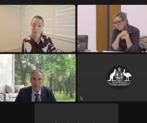 NIBA appears before Senate inquiry into Climate Risk Assessment