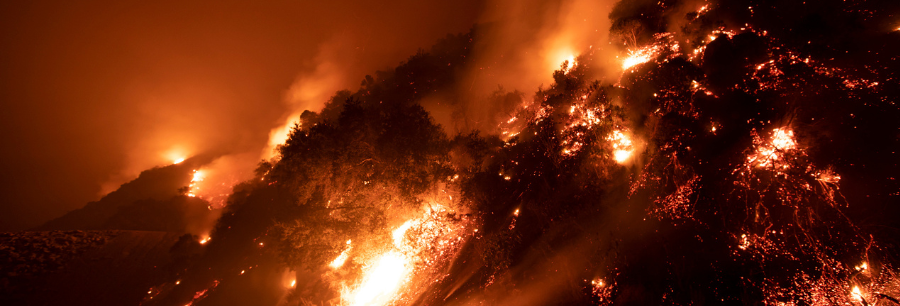 California Wildfire
