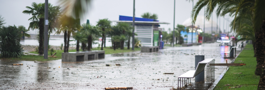 Ex Cyclone Alfred, Looking after Brokers
