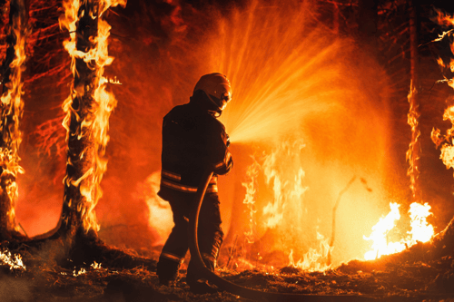 Extreme Weather, Disinformation and Conflict Big Challenges, Notes World Economic Forum Report