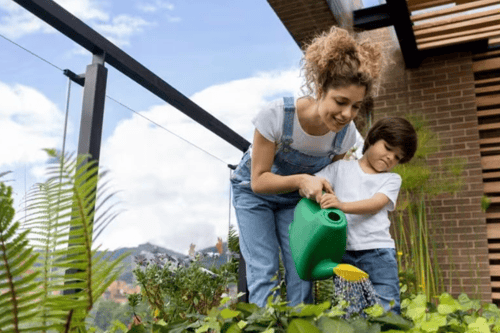 NSW Government Releases Strata Guide for Owners