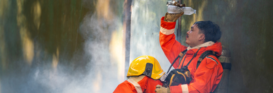 Emerging Risks banner