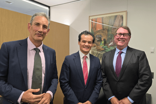 NIBA Engages With NSW Government on Strata