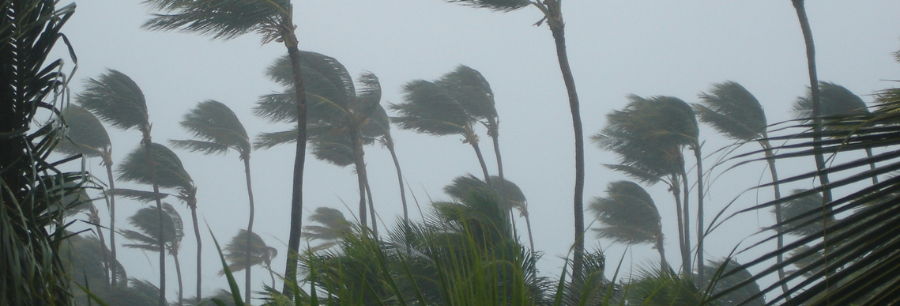 Gold Coast Aftermath of Cyclone NIBA