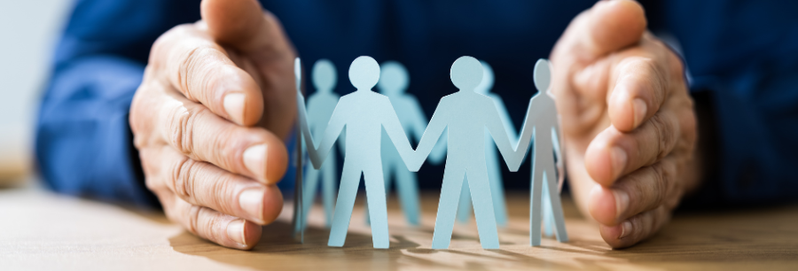 NIBA CSLR Submission