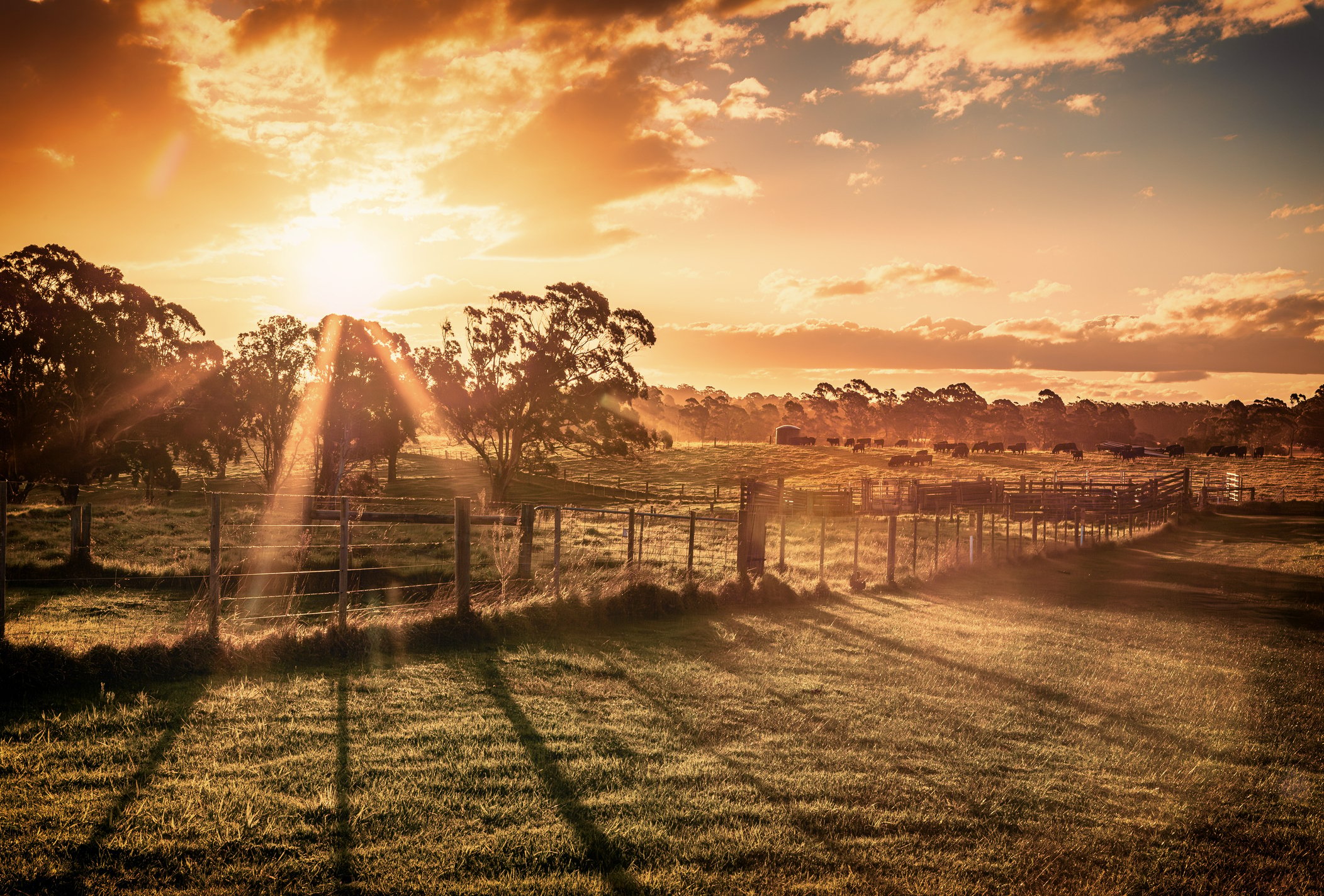 iStock-2044648639