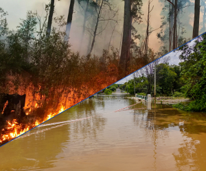 Disaster Assistance Ramped Up in Victoria and Queensland