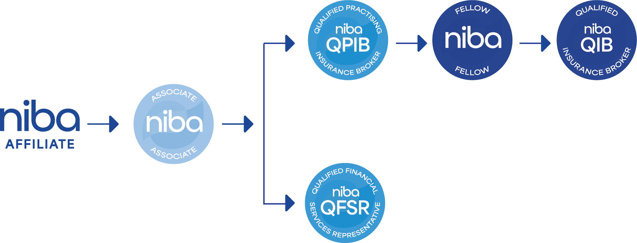 Niba professional Designation Level revised